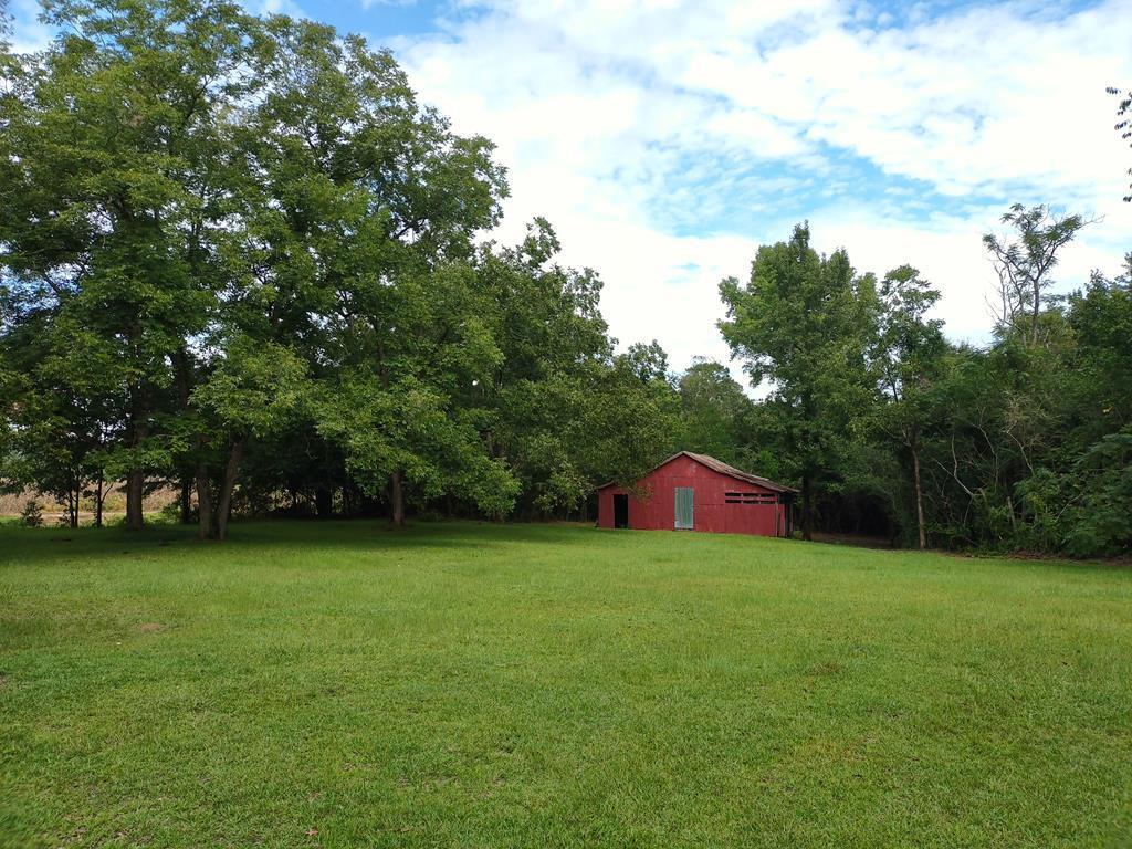 2447 Jack Touchberry Road Summerton, SC 29148 - Photo 53 of 64 jack57