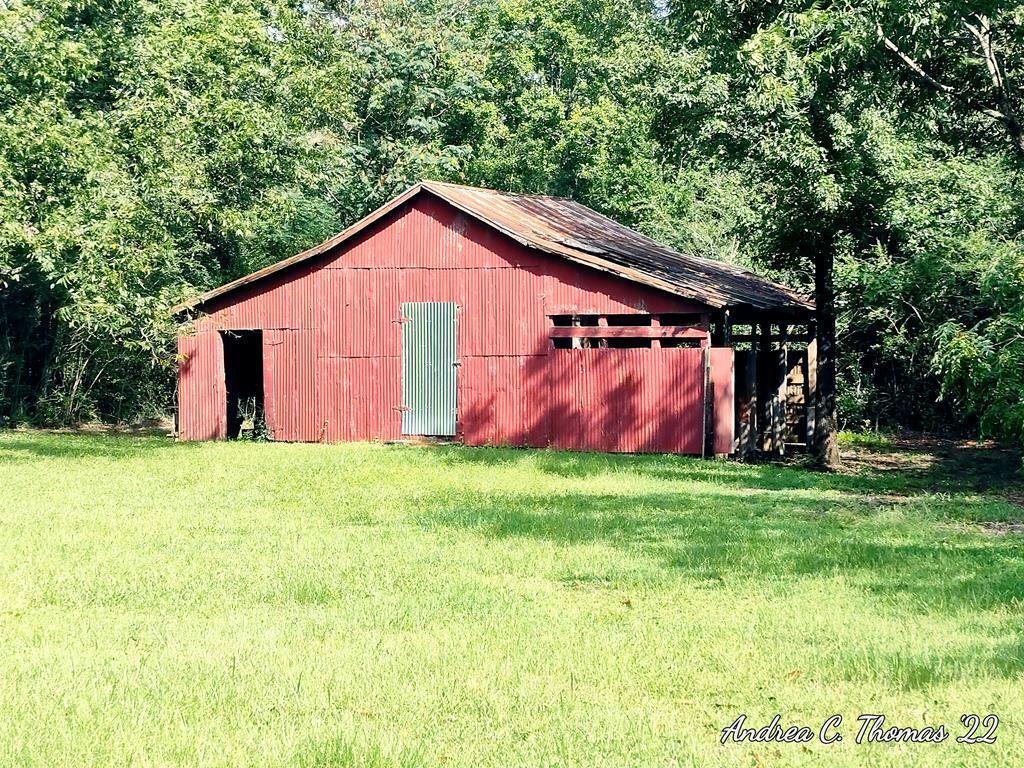 2447 Jack Touchberry Road Summerton, SC 29148 - Photo 54 of 64 jack58