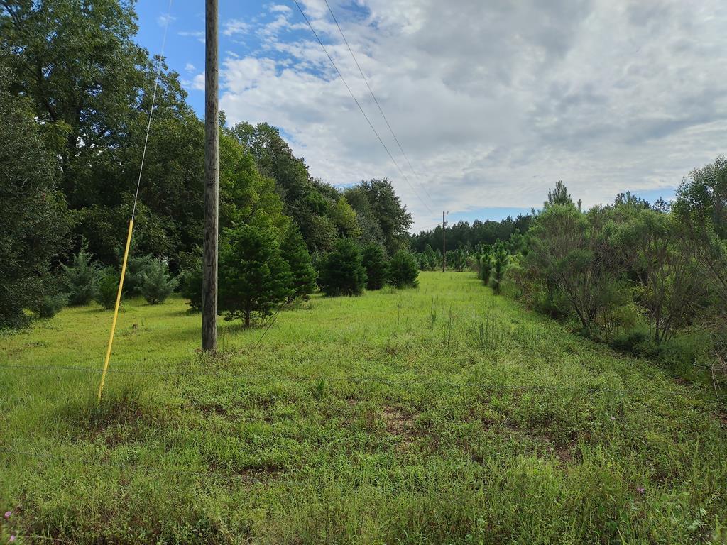 2447 Jack Touchberry Road Summerton, SC 29148 - Photo 57 of 64 jack61