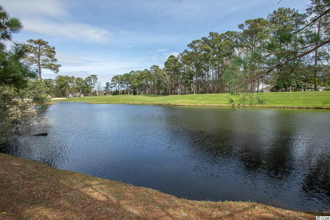 645 Tidal Point Lane Myrtle Beach, SC 29579 - Photo 39 of 40 Gallery Image 39
