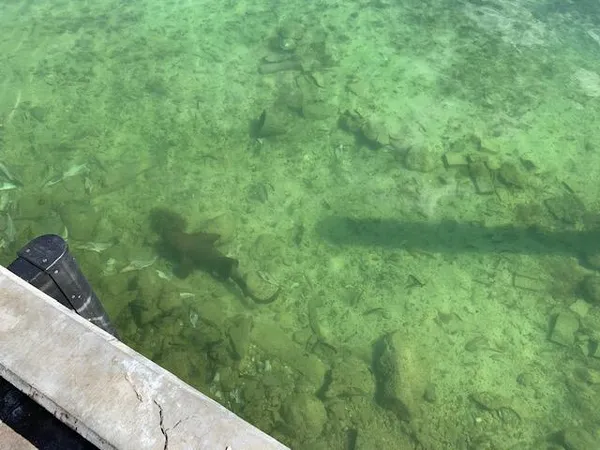 $439,000 | 814 South Emerald Drive, Key Largo, FL 33037