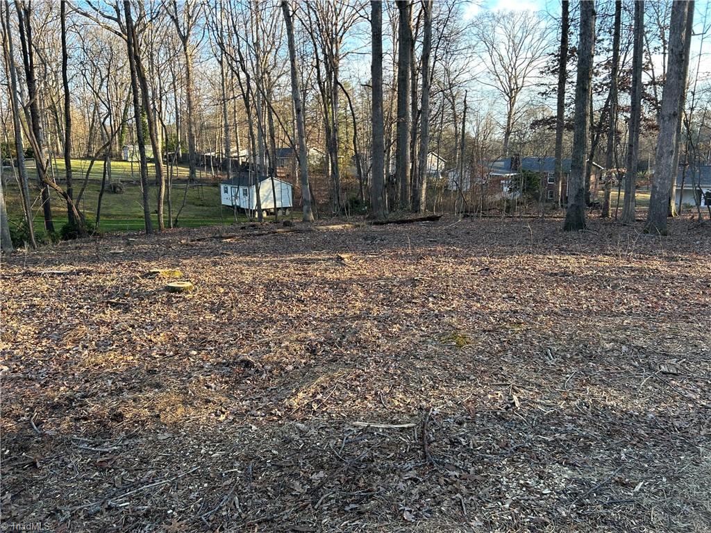 Tbd Brookberry Road Mount Airy, NC 27030 - Photo 2 of 8