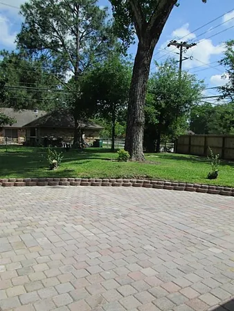 a view of a backyard