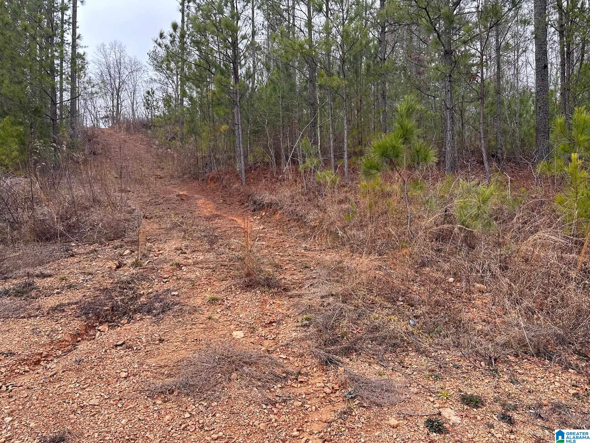 Lake Road, Unit TRACT 12 Odenville, AL 35120 - Photo 2 of 3