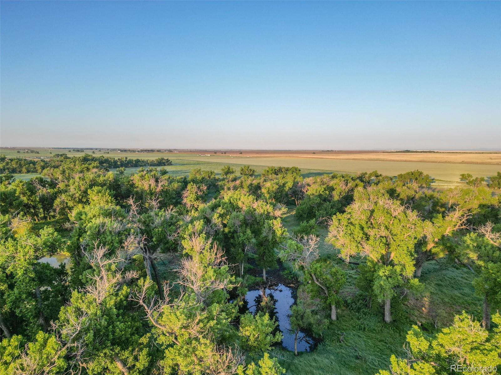 Pass Me By Road Strasburg, CO 80136 - Photo 12 of 46