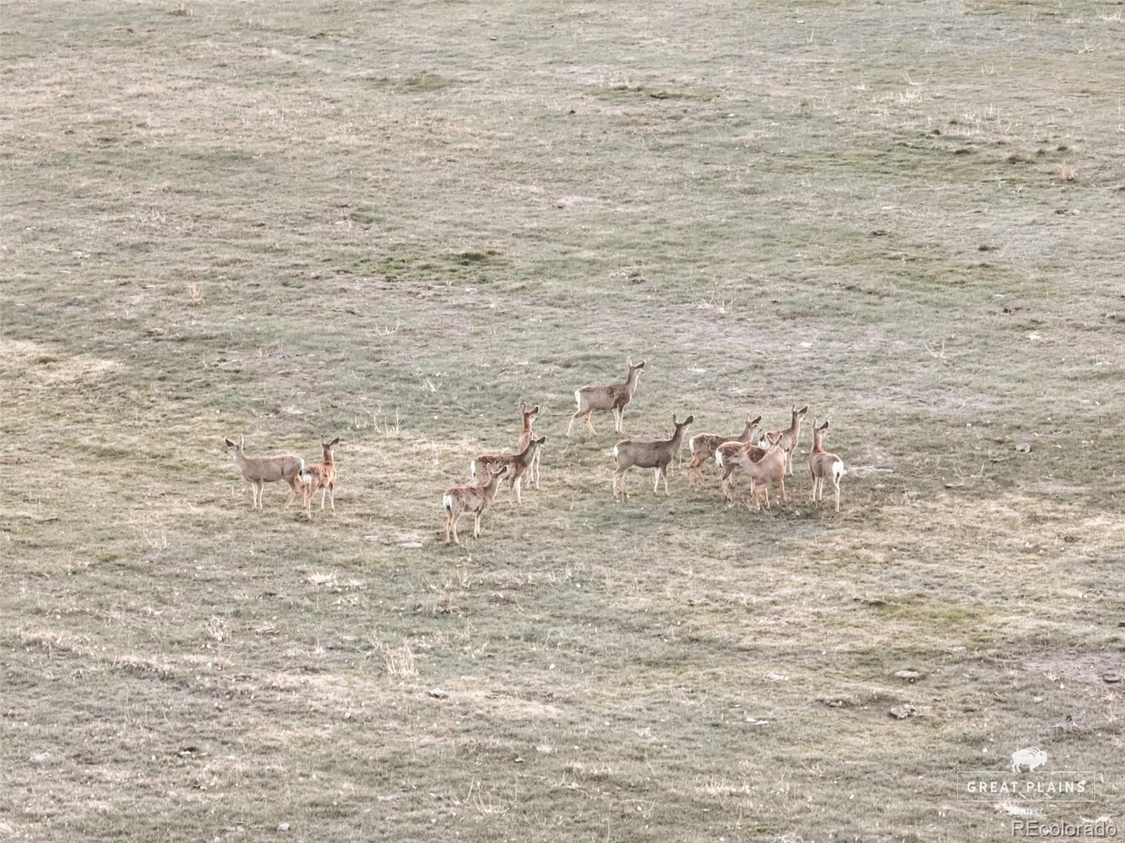 Pass Me By Road Strasburg, CO 80136 - Photo 16 of 46 a bathroom with a bathtub