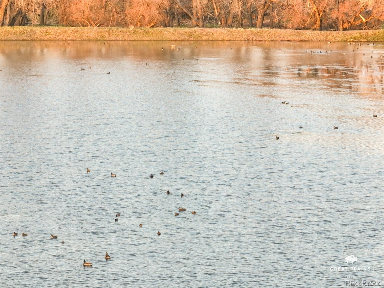 Pass Me By Road Strasburg, CO 80136 - Photo 19 of 46 a view of an ocean