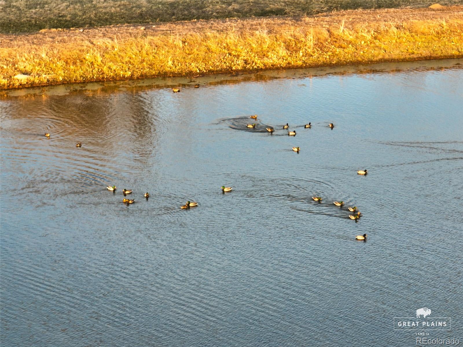 Pass Me By Road Strasburg, CO 80136 - Photo 20 of 46 a view of a lake view