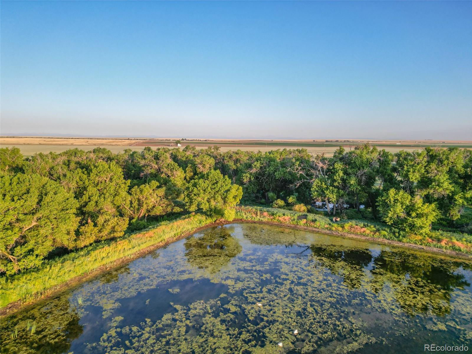 Pass Me By Road Strasburg, CO 80136 - Photo 22 of 46 a view of a yard with an outdoor space