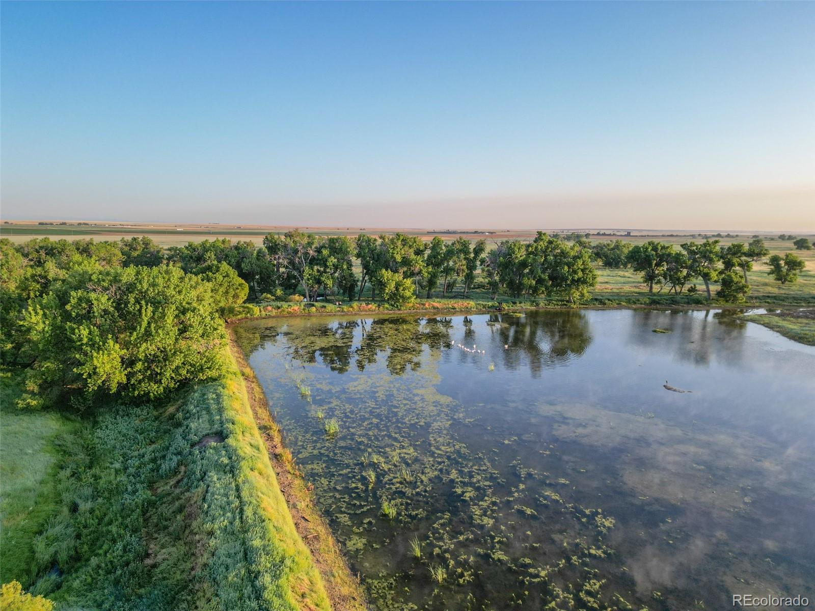 Pass Me By Road Strasburg, CO 80136 - Photo 24 of 46 a view of a lake with a yard