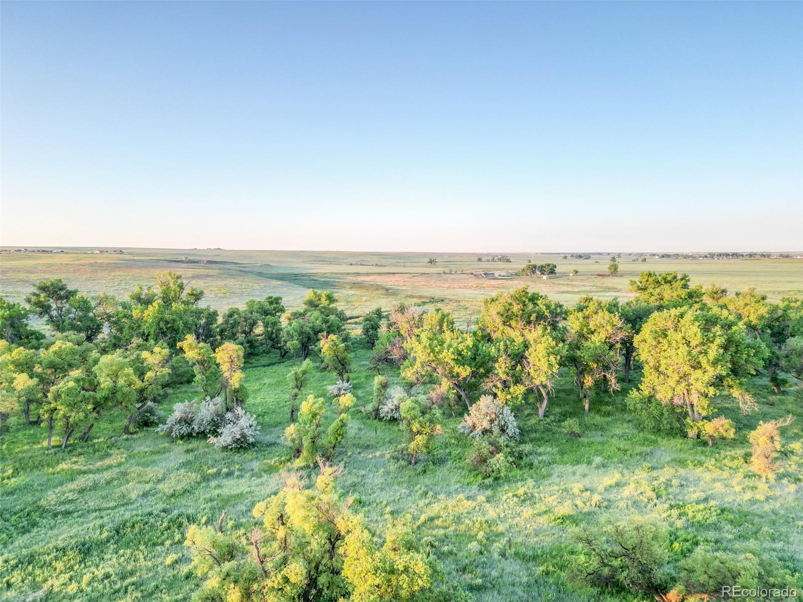 Pass Me By Road Strasburg, CO 80136 - Photo 31 of 46 an aerial view of forest with lots of trees