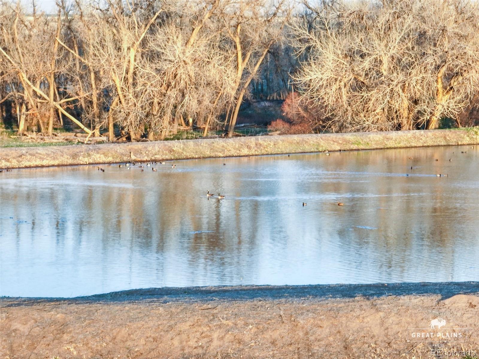 Pass Me By Road Strasburg, CO 80136 - Photo 46 of 46 a view of a wooden floor