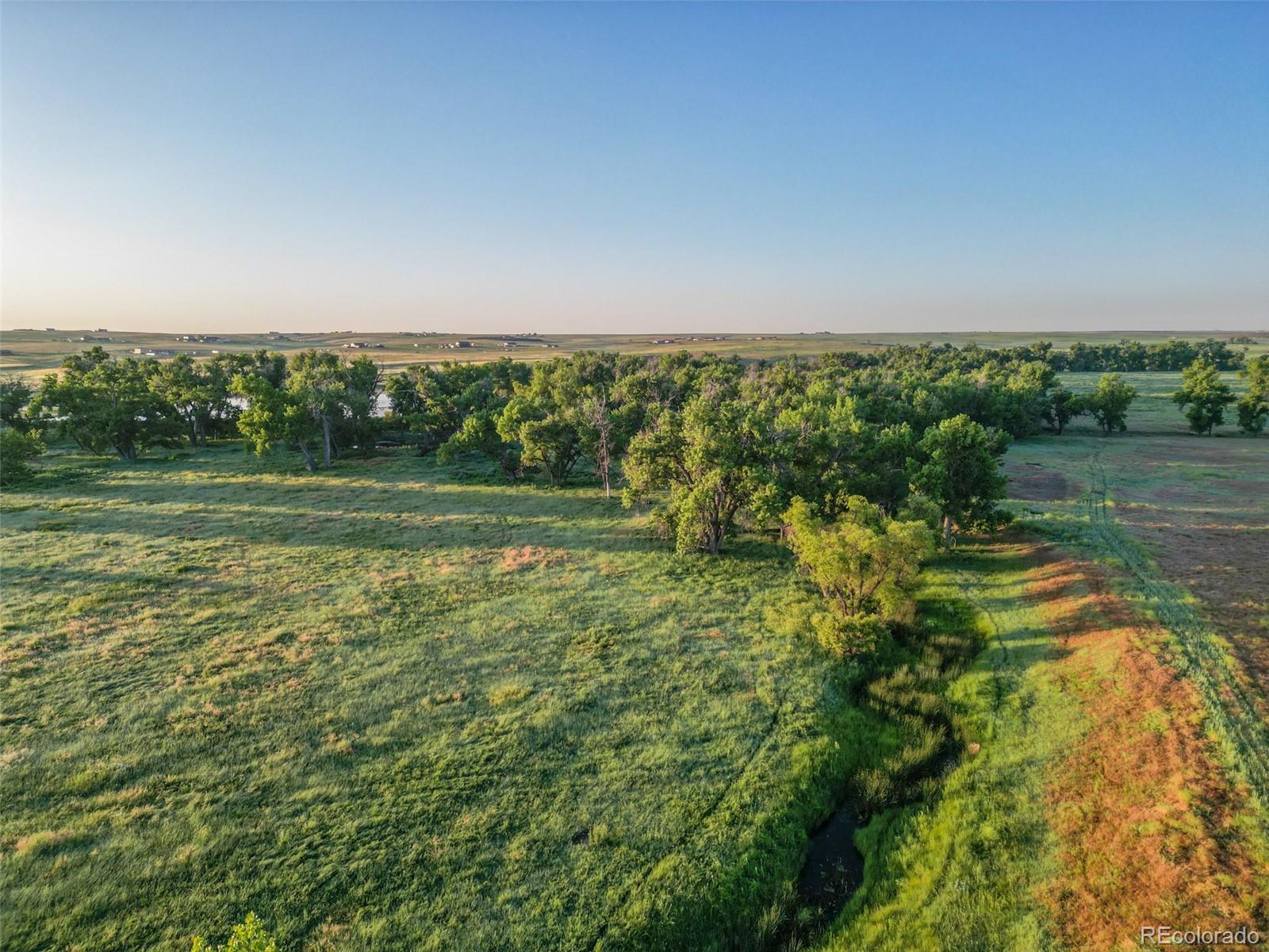 Pass Me By Road Strasburg, CO 80136 - Photo 9 of 46 a view of a green field with trees in the background