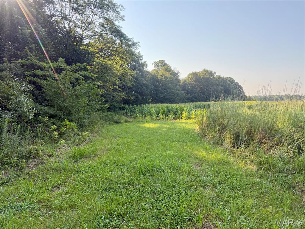 0 County Road Strasburg, IL 62465 - Photo 36 of 97 Gallery Image 36