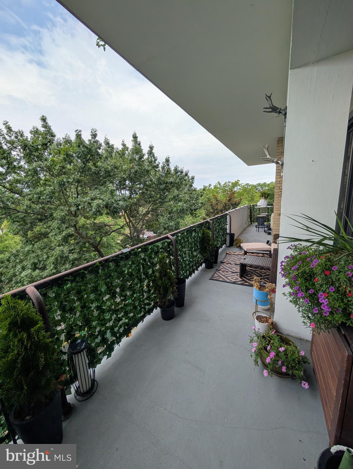 3601 Wisconsin Avenue Northwest, Unit 502 Washington, DC 20016 - Photo 16 of 32 facing Wisconsin Ave.