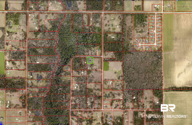 23220 McPhillips Road Loxley, AL 36551 - Photo 29 of 29 Aerial