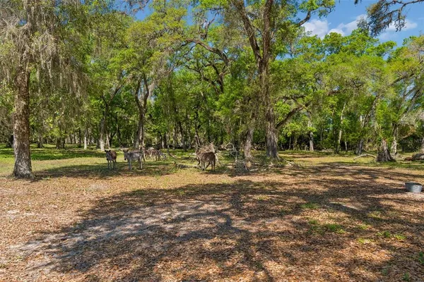 $1,550,000 | 4300 Cr 673 Bushnell, Bushnell, FL 33513