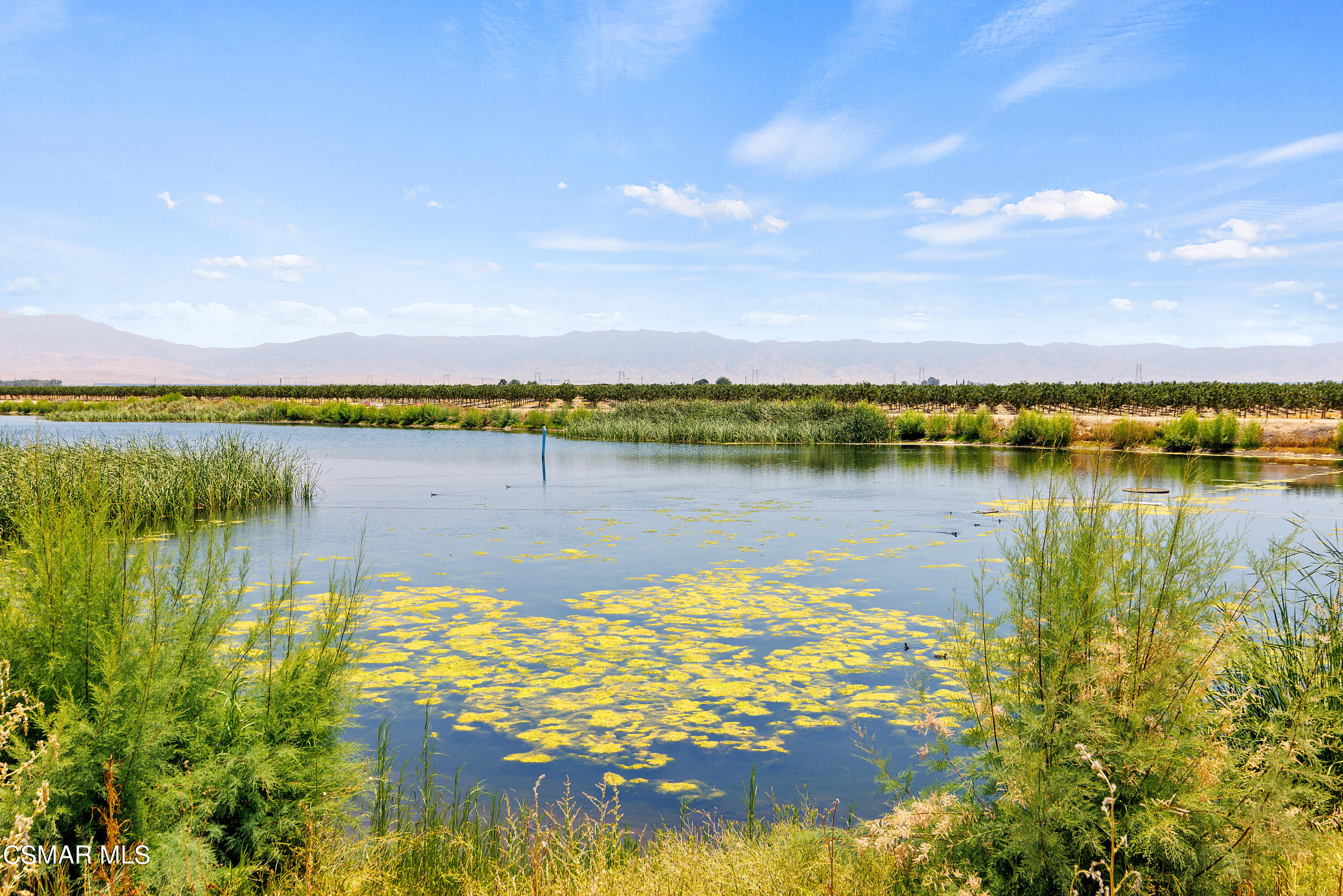 Teale Road Arvin, CA 93203 - Photo 2 of 7 a view of a lake with houses in the back