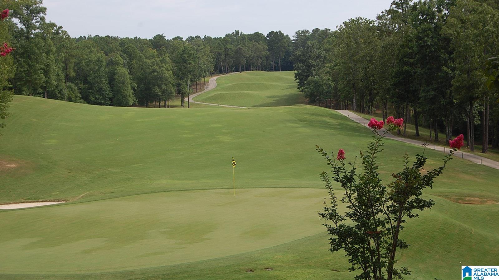 1135 Timberline Ridge Calera, AL 35040 - Photo 17 of 20