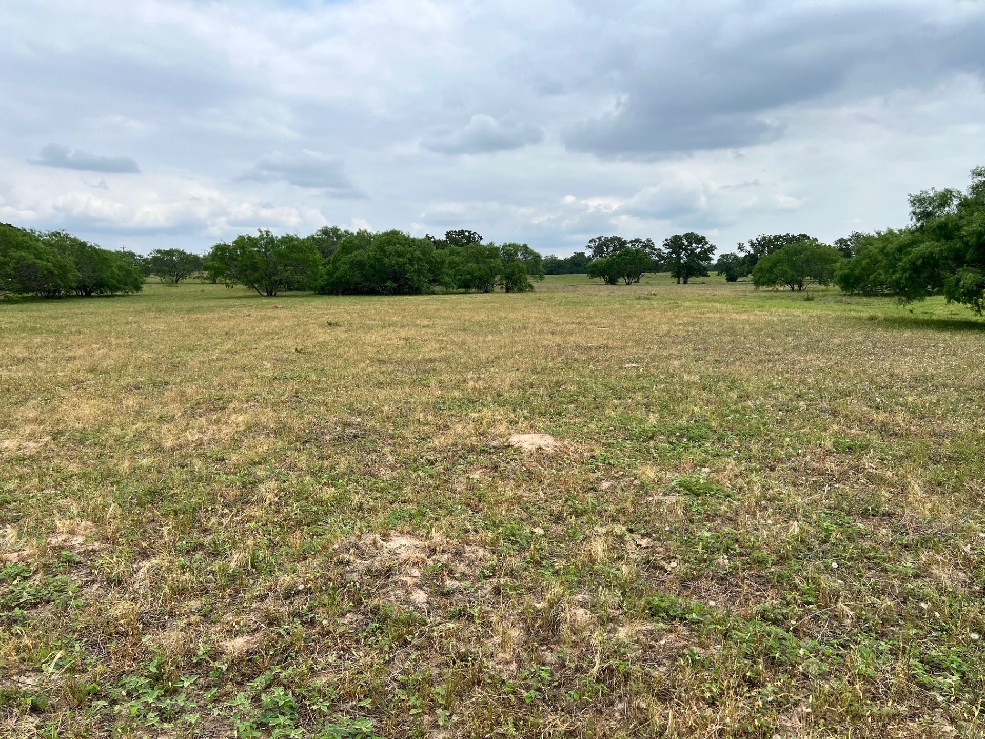 Lot 17 Settlement Way Luling, TX 78648 - Photo 8 of 14 A sprawling pastoral landscape offers serene views under an expansive sky.