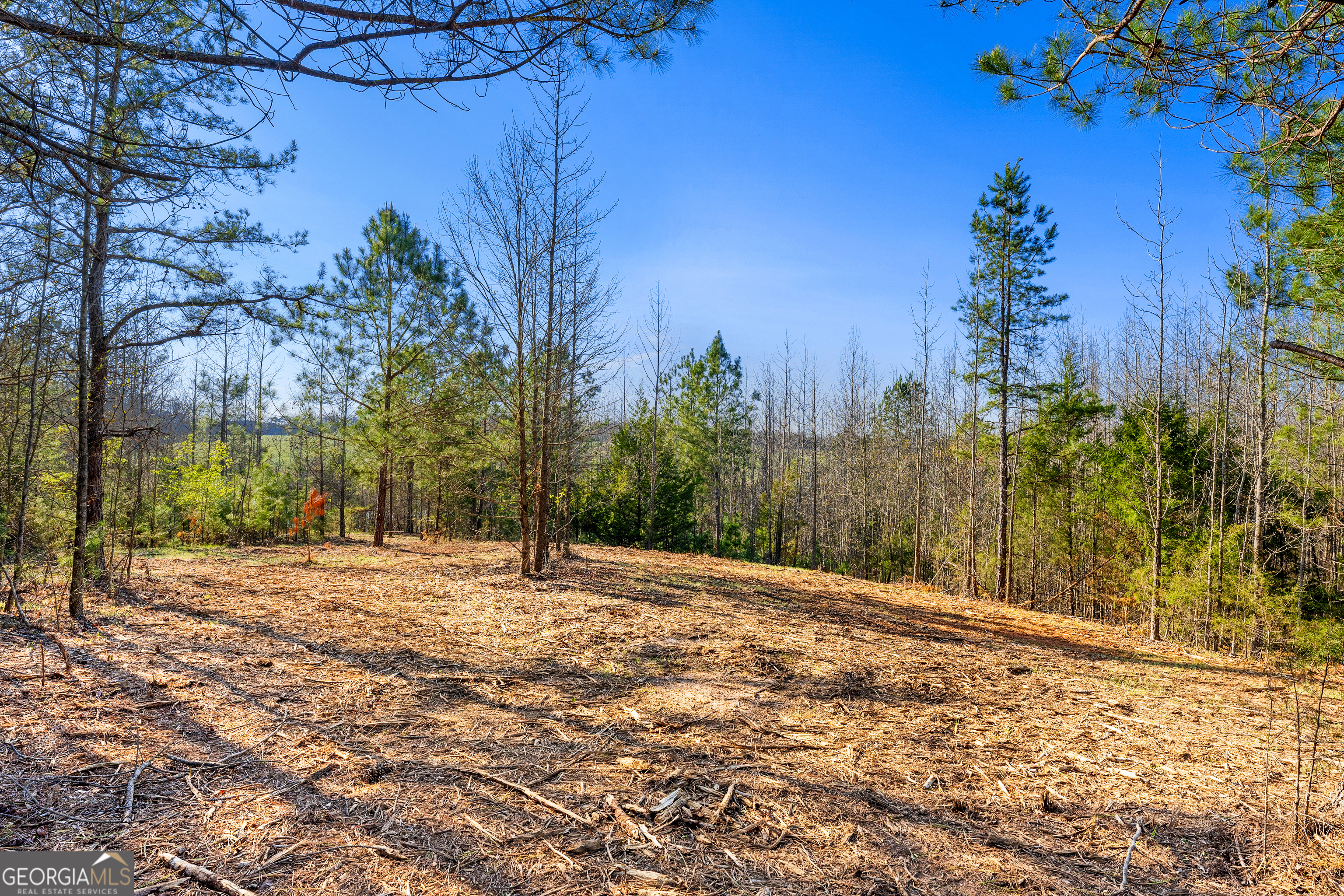 10 Ridgeview Point Hartwell, GA 30643 - Photo 8 of 19 Gallery Image 8
