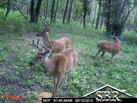 6200 Gratiot Road Saginaw, MI 48638 - Photo 19 of 22 20367839-18.JPG