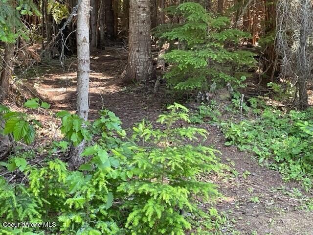435 Nowhere Road Priest River, ID 83856 - Photo 1 of 12 Photo2