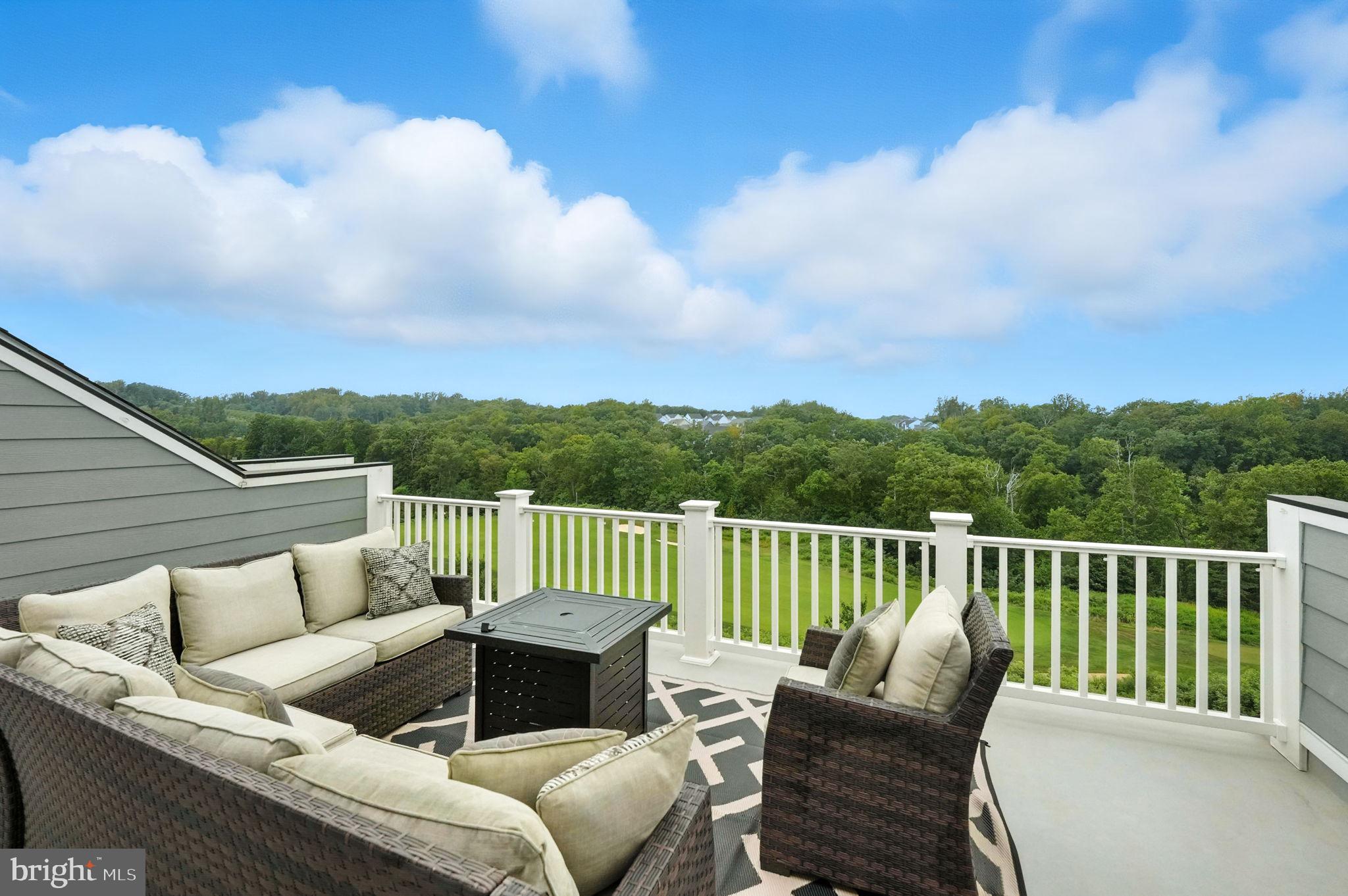 17233 Branched Oak Road Dumfries, VA 22026 - Photo 41 of 79 and natural gas line for fire table