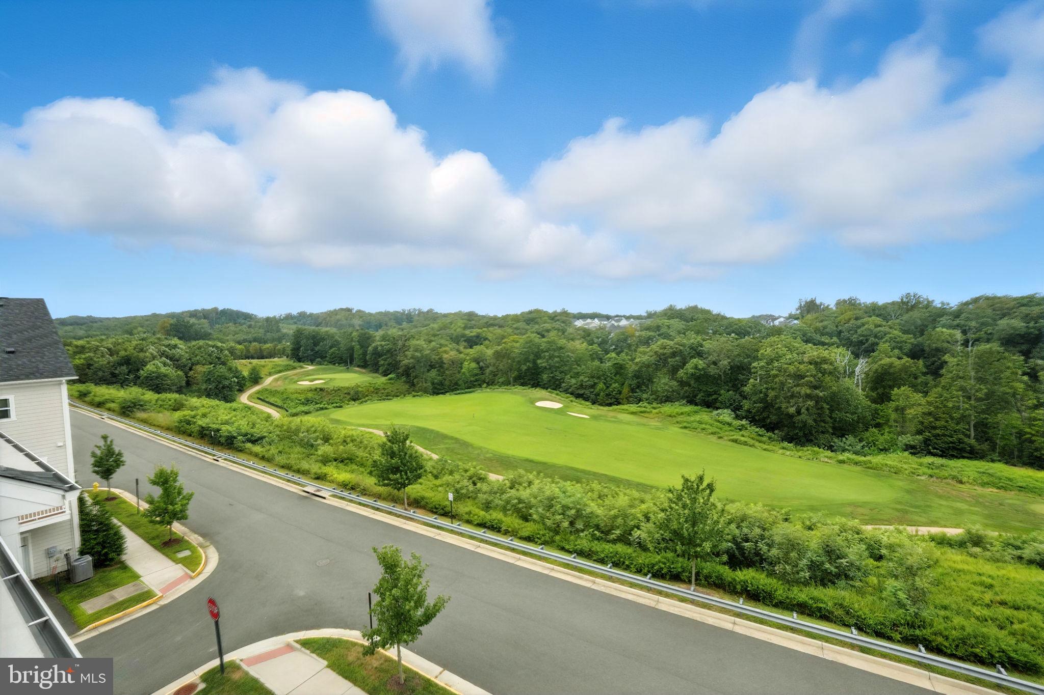 17233 Branched Oak Road Dumfries, VA 22026 - Photo 42 of 79 This view is beautiful!