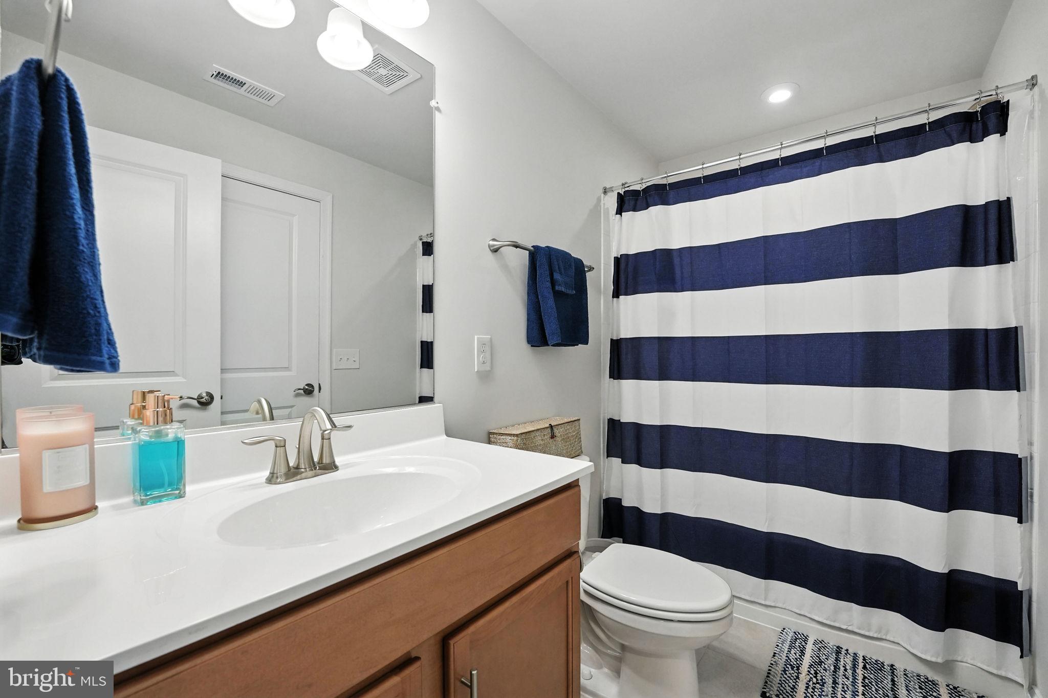 17233 Branched Oak Road Dumfries, VA 22026 - Photo 8 of 79 a bathroom with a sink a toilet a mirror and shower curtain