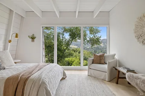 a view of a forest from a window