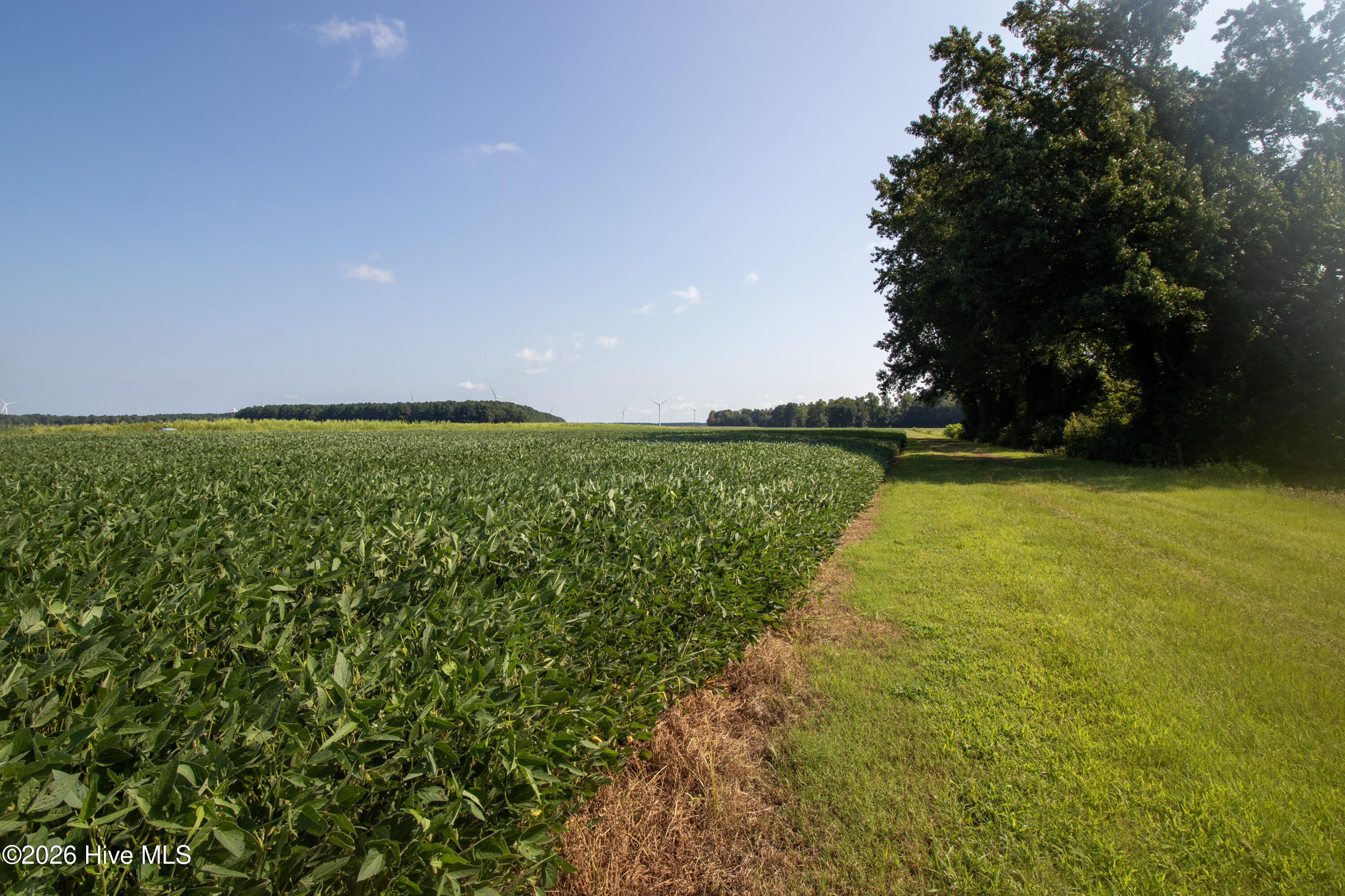 0 Swamp Road Hertford, NC 27944 - Photo 2 of 3 Gallery Image 2