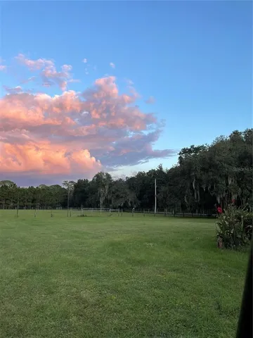 a view of a grassy field with an trees
