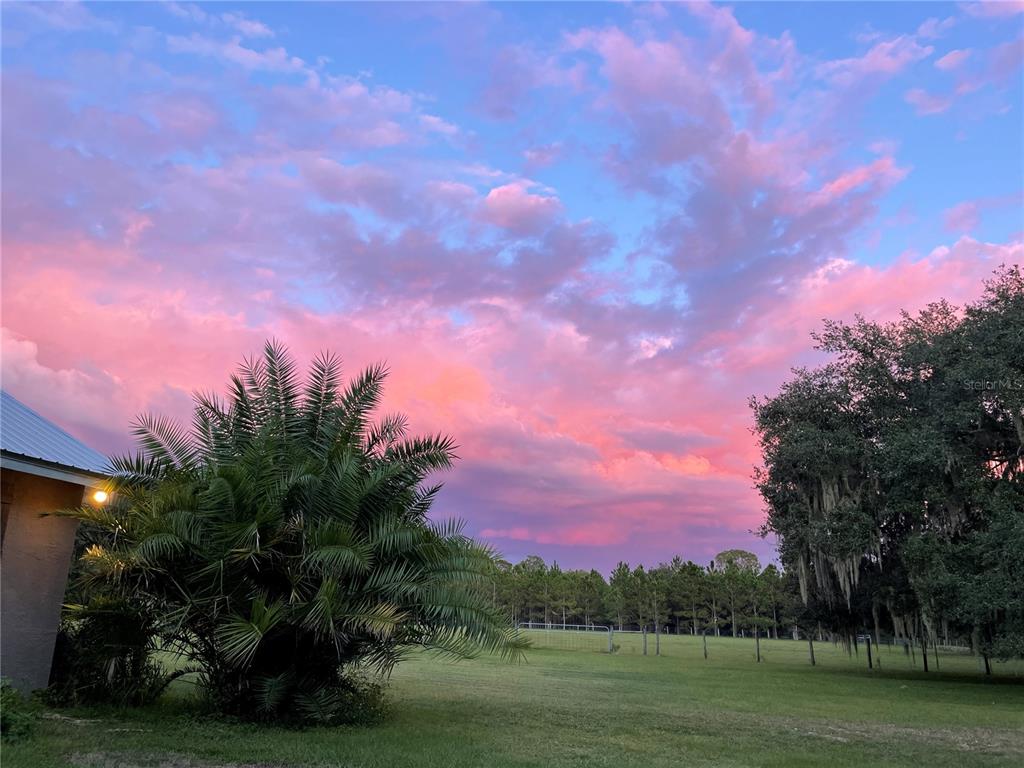 11956 Neal Road Lithia, FL 33547 - Photo 2 of 16 a view of grassy field with trees