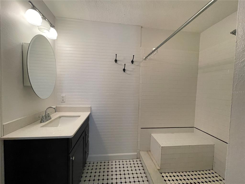 11956 Neal Road Lithia, FL 33547 - Photo 8 of 16 a bathroom with a sink a toilet and a mirror