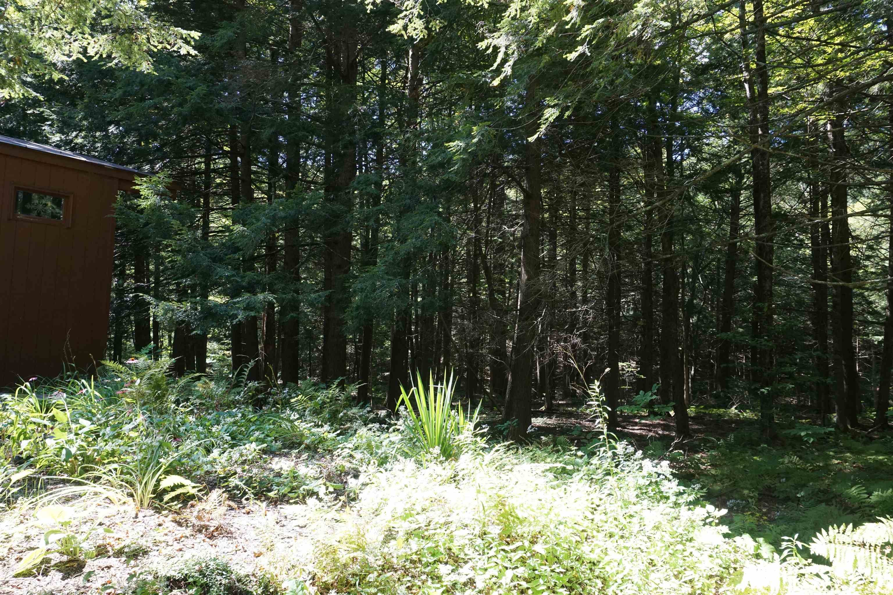 1126 Wheelock Road Hartford, VT 05059 - Photo 19 of 42 Gallery Image 19