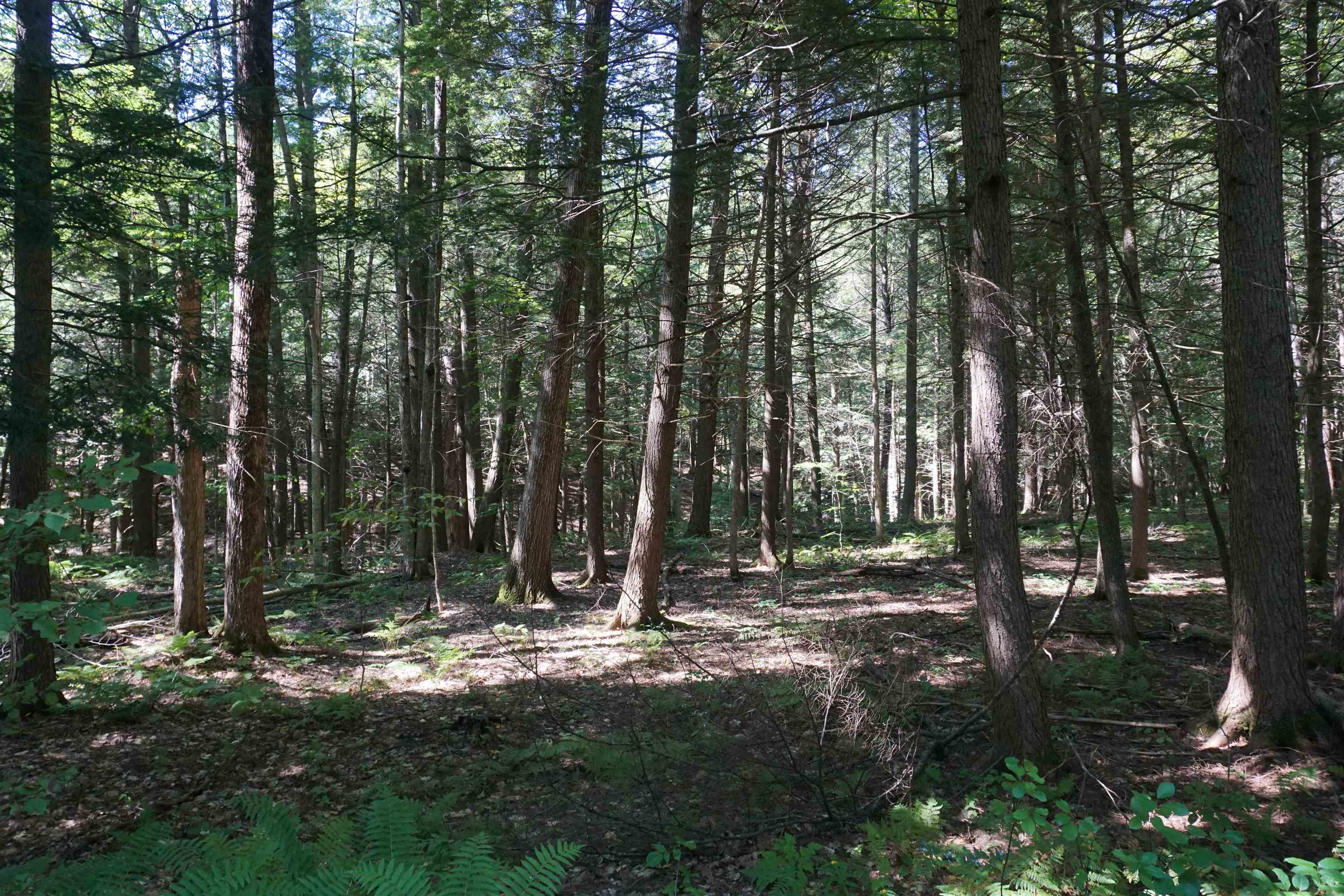 1126 Wheelock Road Hartford, VT 05059 - Photo 21 of 42 Gallery Image 21