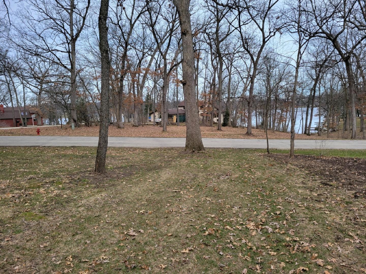 a view of a yard with a tree