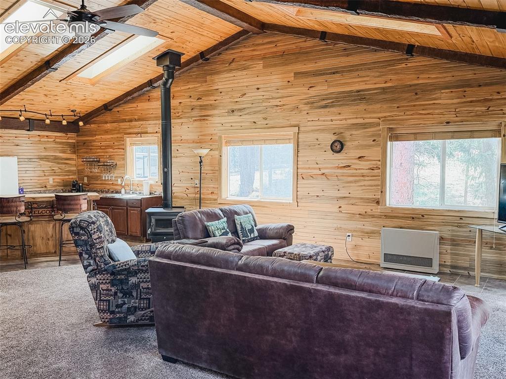 269 Southpark Road Florissant, CO 80816 - Photo 6 of 38 a living room with furniture and a flat screen tv
