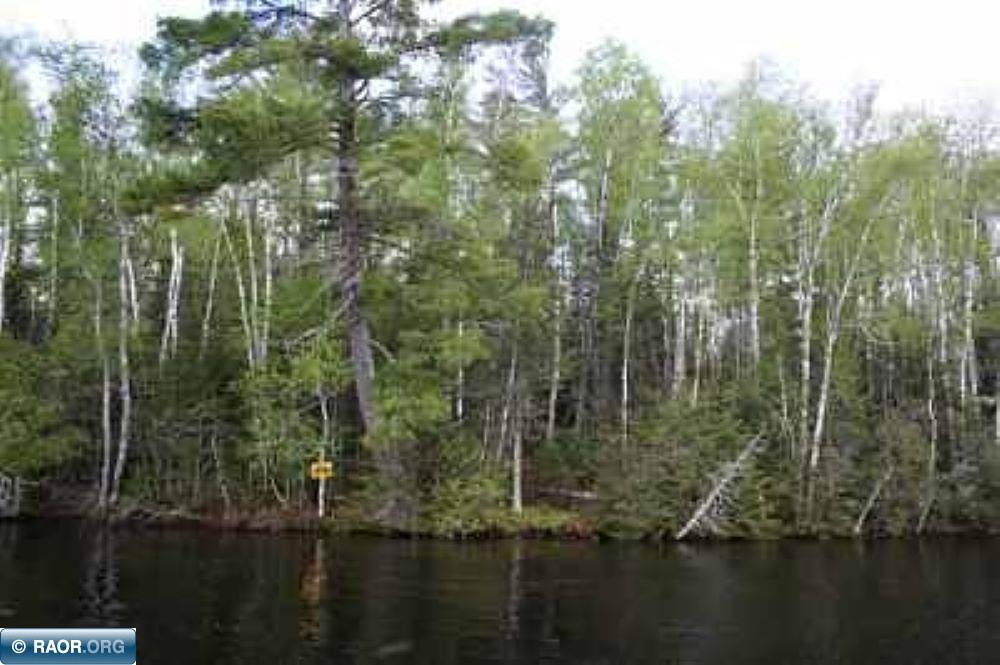 Xx Xx Pine Island Northwest Tower, MN 55790 - Photo 1 of 4