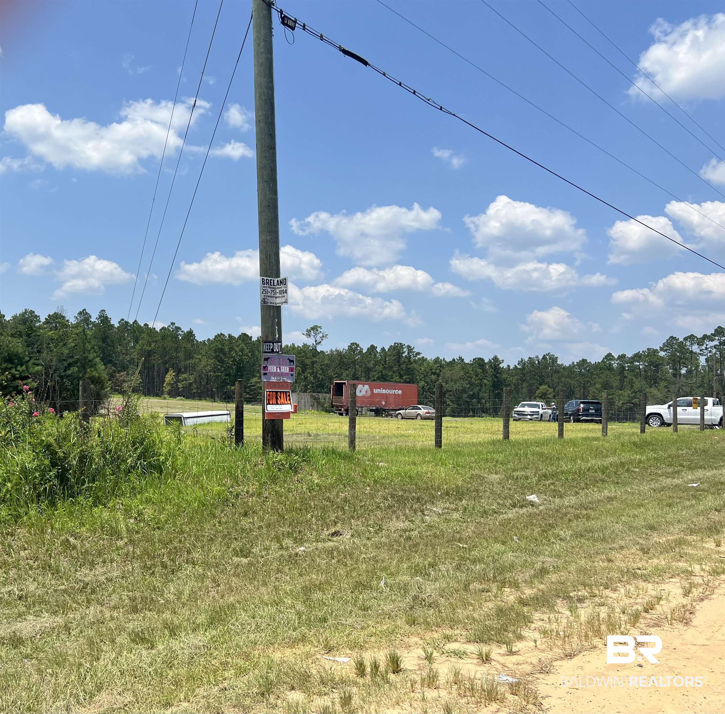 0 Beverly Jefferies Highway Citronelle, AL 36522 - Photo 6 of 19