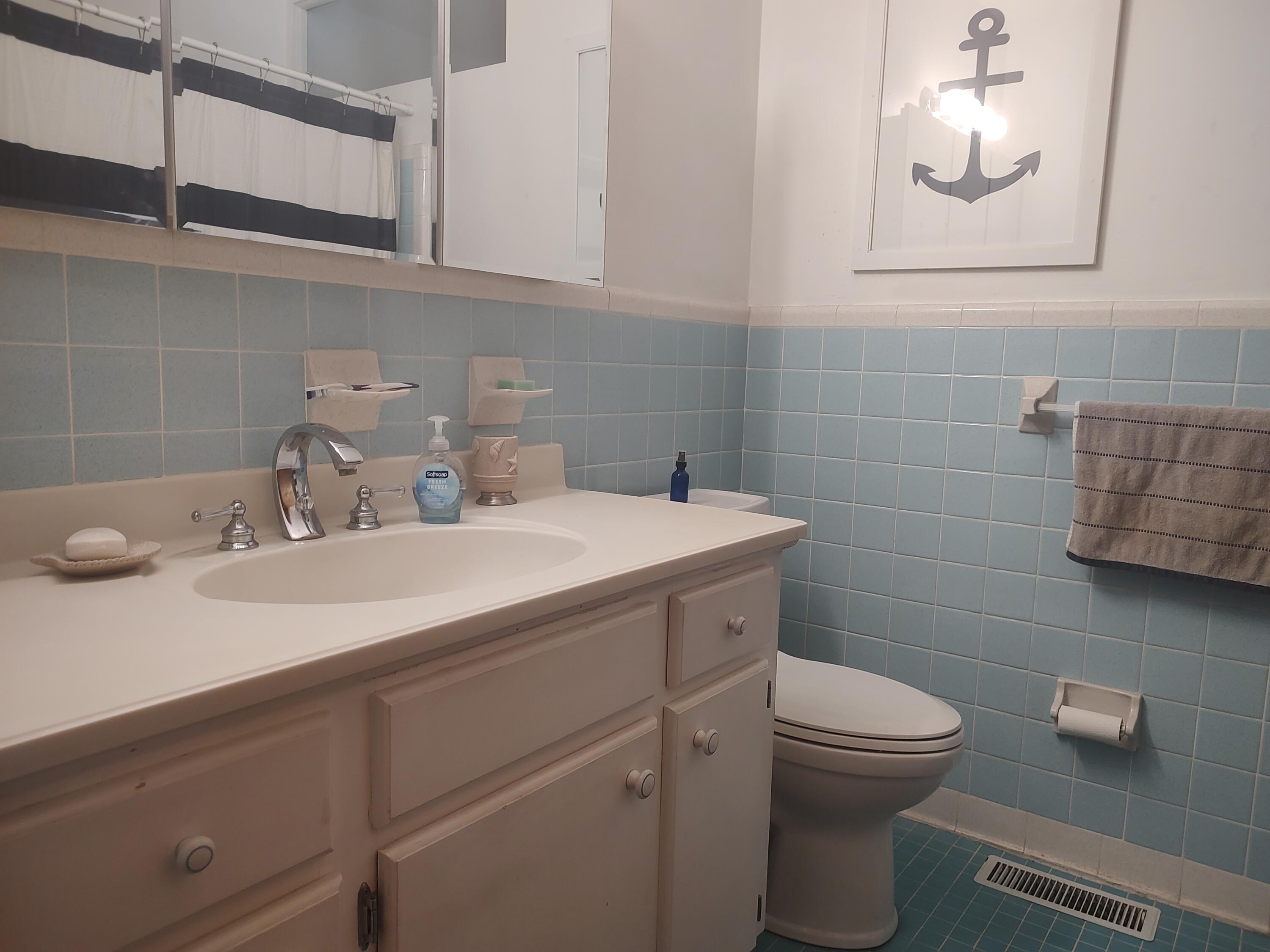 102 County Rd S-18-334 Ladson, SC 29456 - Photo 5 of 7 Hall Bath