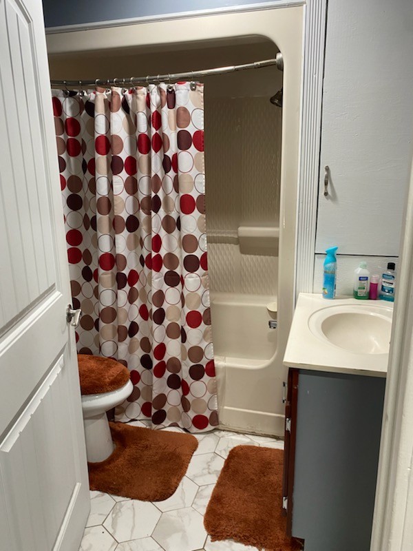 2705 Johnson Branch Road Leoma, TN 38468 - Photo 10 of 16 a bathroom with a sink toilet and shower