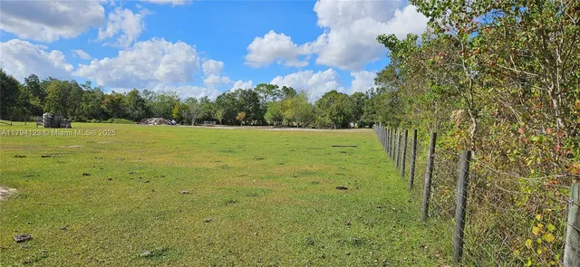 a view of a park with large trees