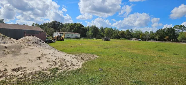 a view of a park with large trees