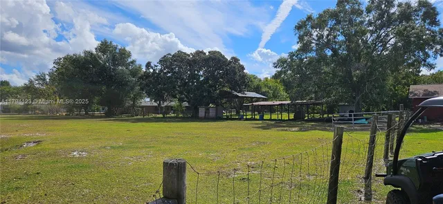 a view of yard with trees