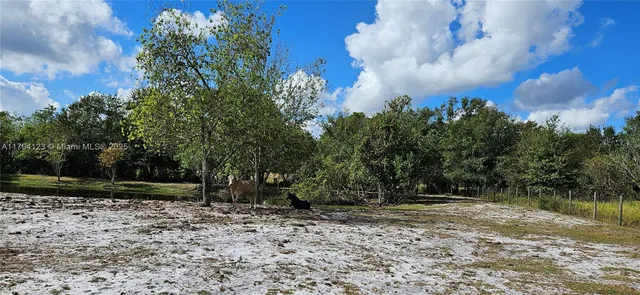 a view of a house with a big yard and large trees