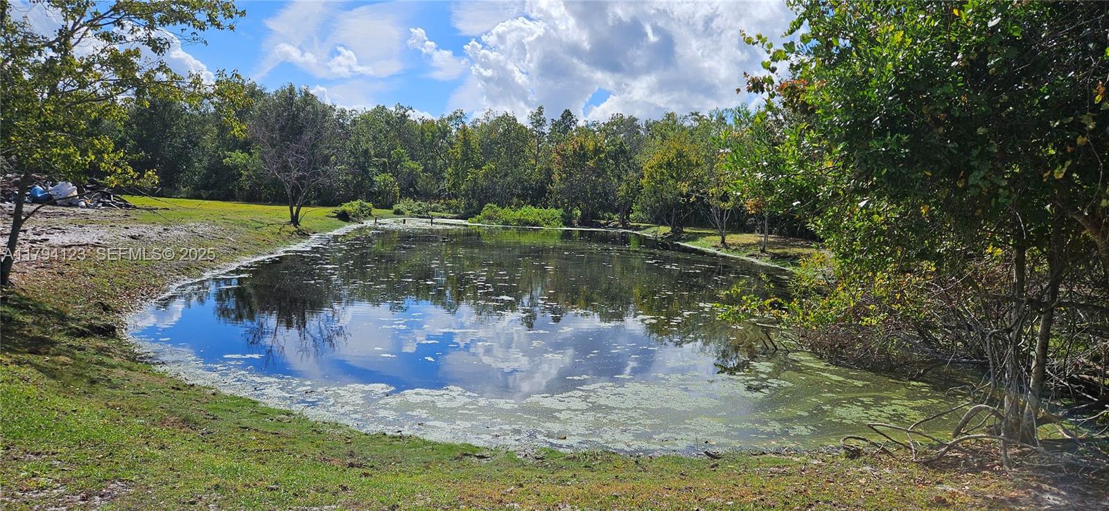 3100-3112 Sanders Road Davenport, FL 33837 - Photo 24 of 100 a view of a water with a yard