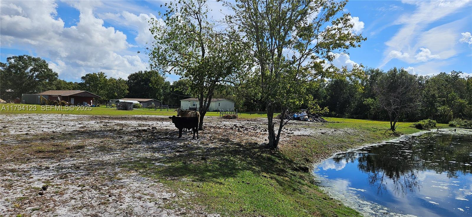 3100-3112 Sanders Road Davenport, FL 33837 - Photo 25 of 100 a view of a park with large trees