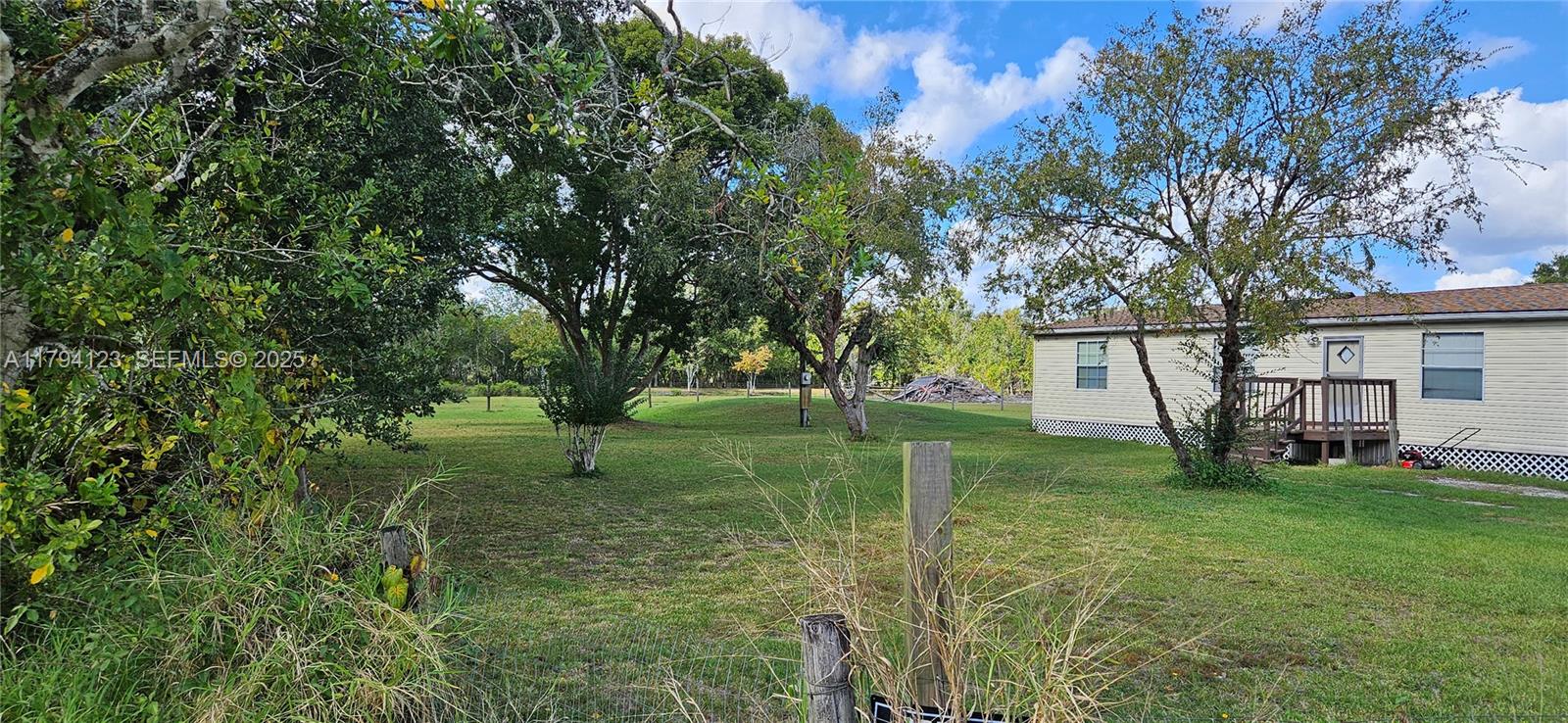 3100-3112 Sanders Road Davenport, FL 33837 - Photo 48 of 100 a view of a backyard with large trees